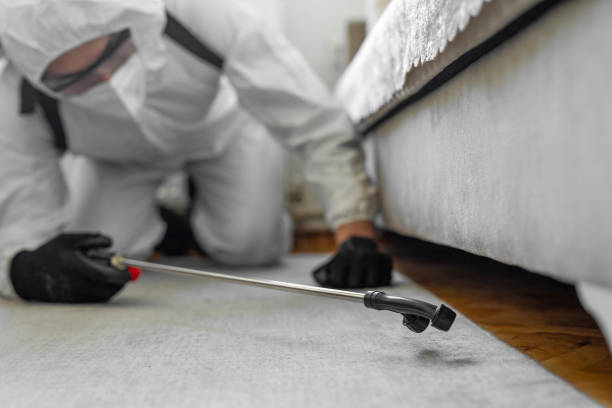Professional Termite Control technician working in Zimmerman, MN