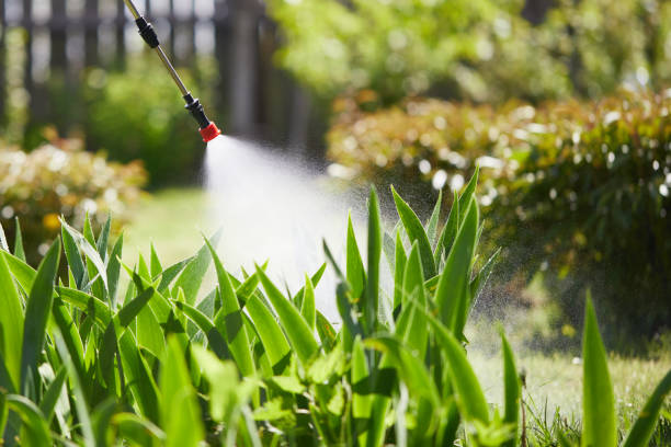 24/7 Emergency Termite Control experts in Zimmerman, MN