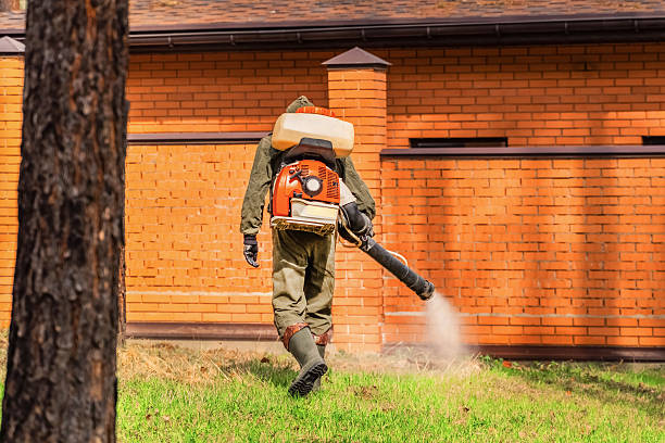 Top rated local Termite Control specialists in Zimmerman, MN